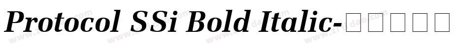 Protocol SSi Bold Italic字体转换